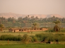 Brzeg Nilu