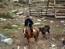 Dolina Djety Oguz - spęd koni i bydła
