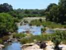 Park Krugera