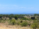 Park Krugera